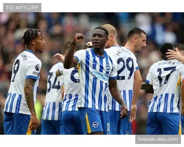 韦尔贝克建功助布莱顿斩获关键胜利，状态回暖引关注